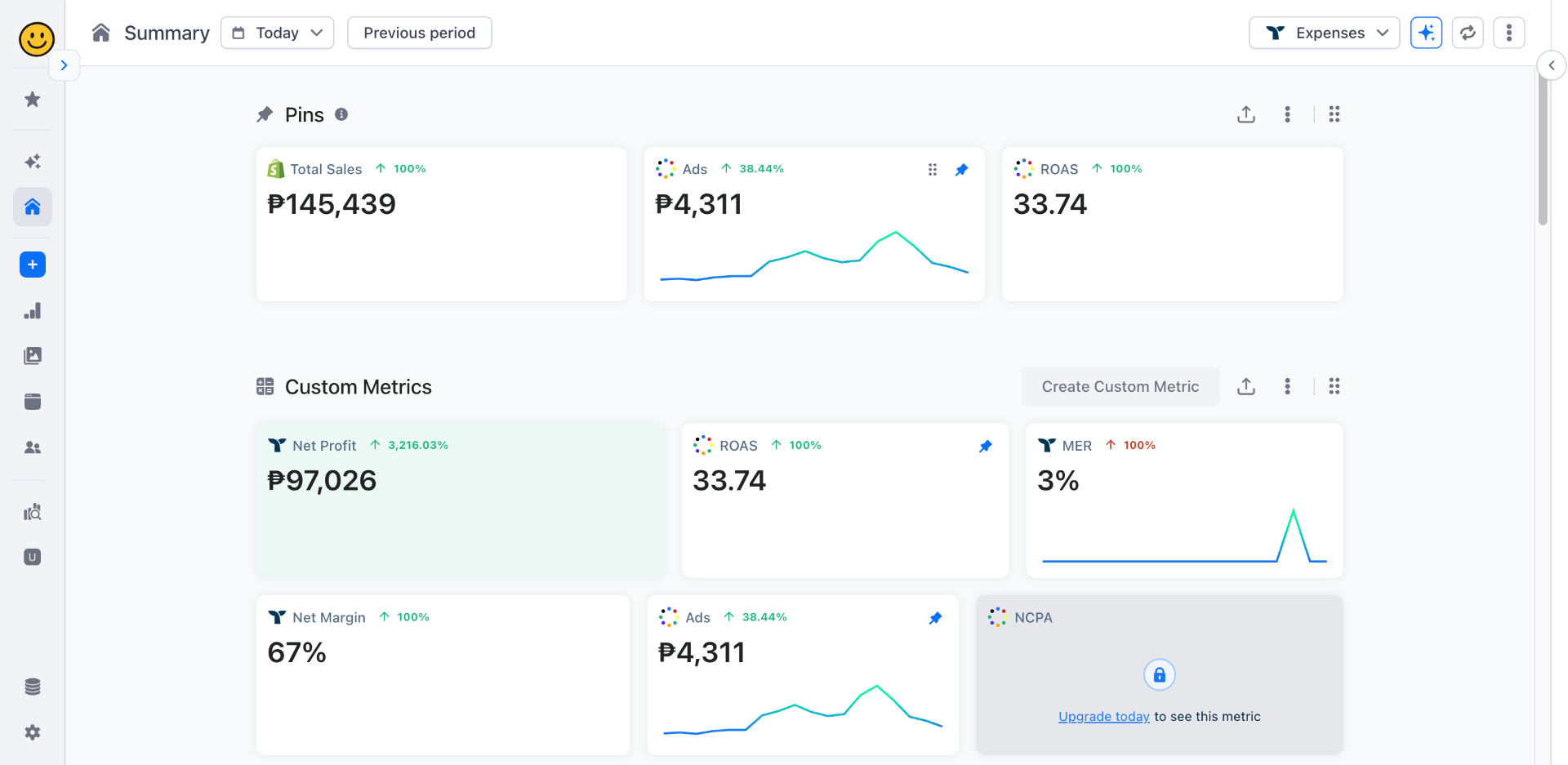 Campaign dashboard for Premium Cosmetics Brand